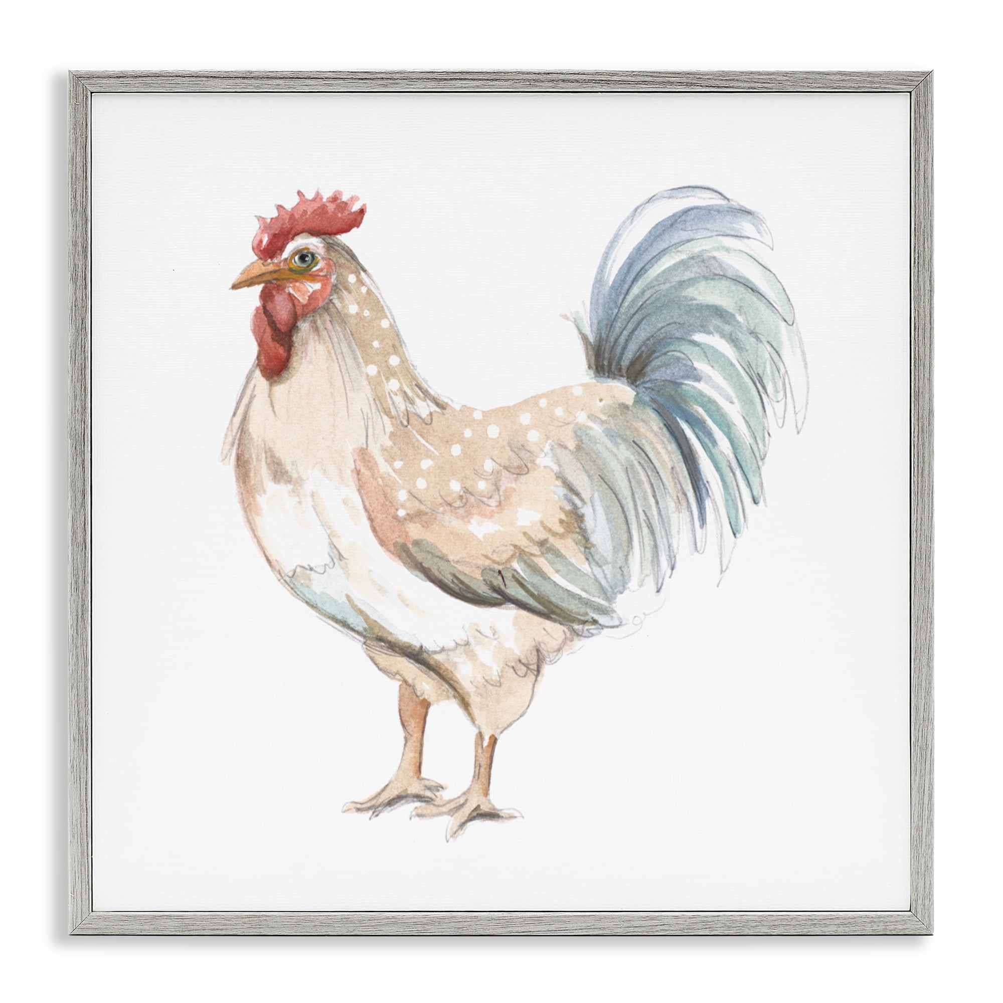 Stupell Industries Watercolor Rooster Sketch Gray Framed Giclee Art, design by Patricia Pinto