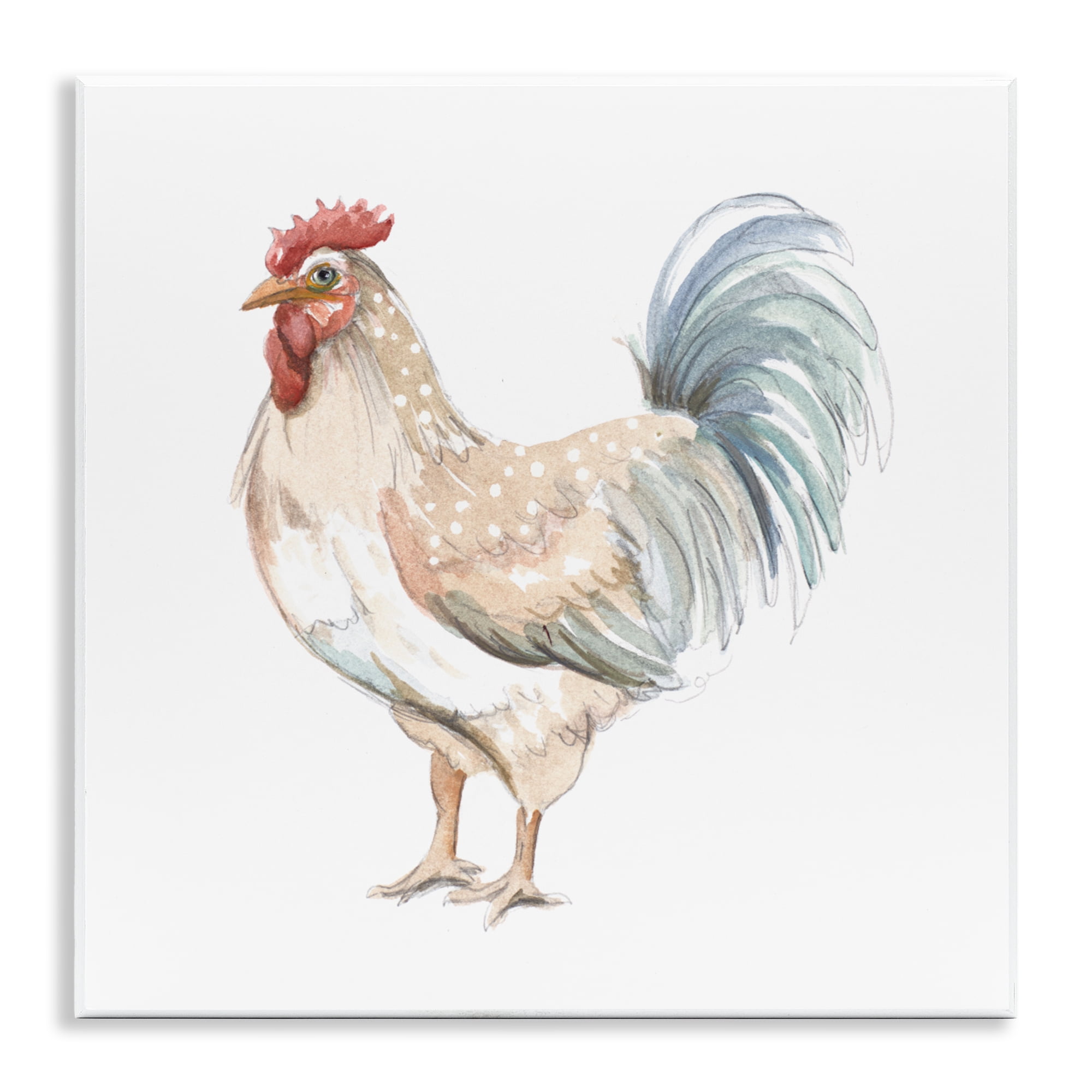 Stupell Industries Watercolor Rooster Sketch Wall Plaque Art, design by Patricia Pinto