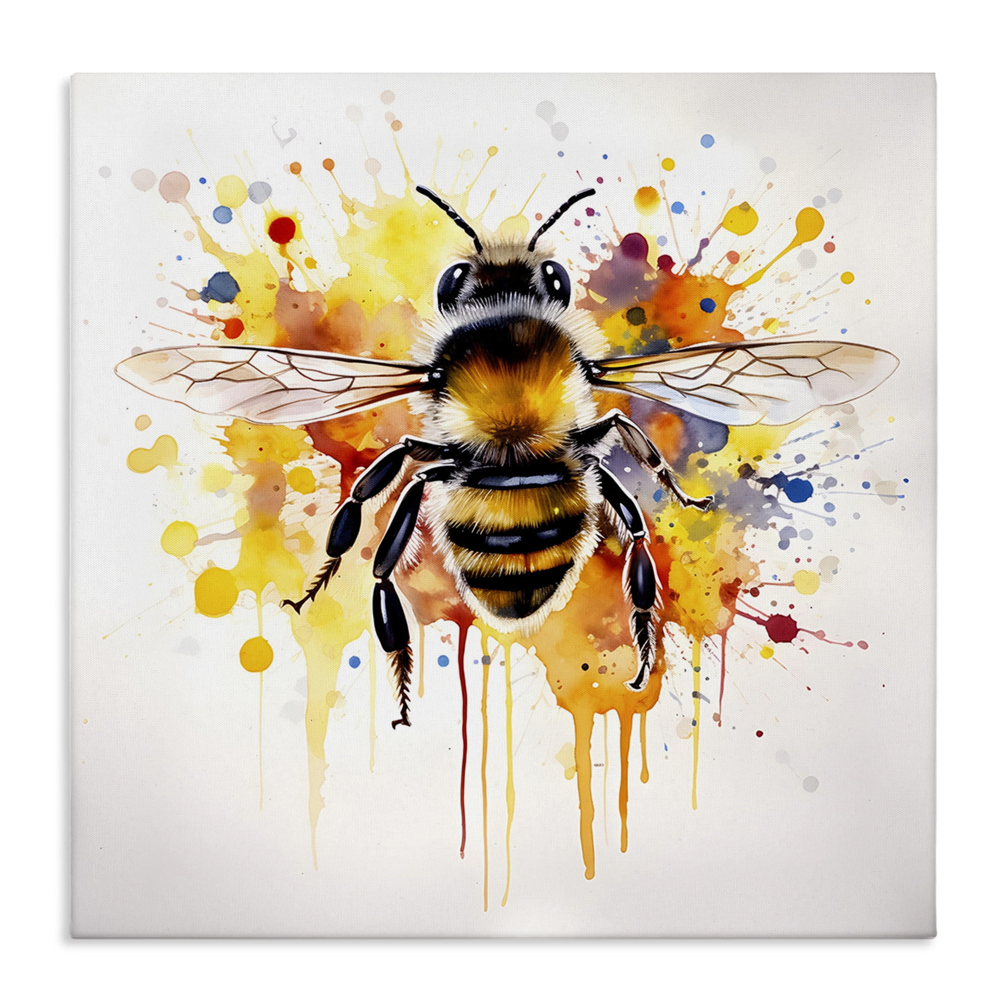 Stupell Industries Watercolor Style Bee Animals & Insects Painting Gallery Wrapped Canvas Art Print Wall Art, 36 x 36