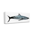 thumbnail image 1 of Stupell Industries Watercolor Textured Shark Minimal Sea Life Design Canvas Wall Art Design by Stellar Design Studio, 1 of 4