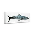 thumbnail image 1 of Stupell Industries Watercolor Textured Shark Minimal Sea Life Design Canvas Wall Art Design by Stellar Design Studio, 1 of 6
