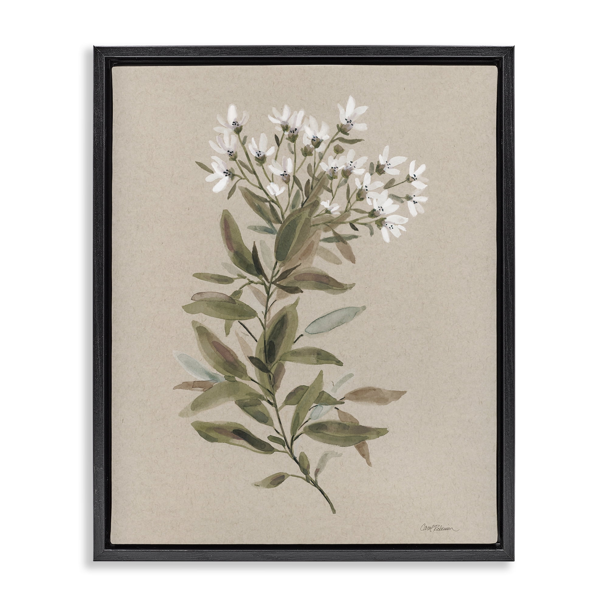 Stupell Industries Watercolor Wildflower Sprig Botanical & Floral Painting Black Floater Framed Art Print Wall Art, 25 x 31