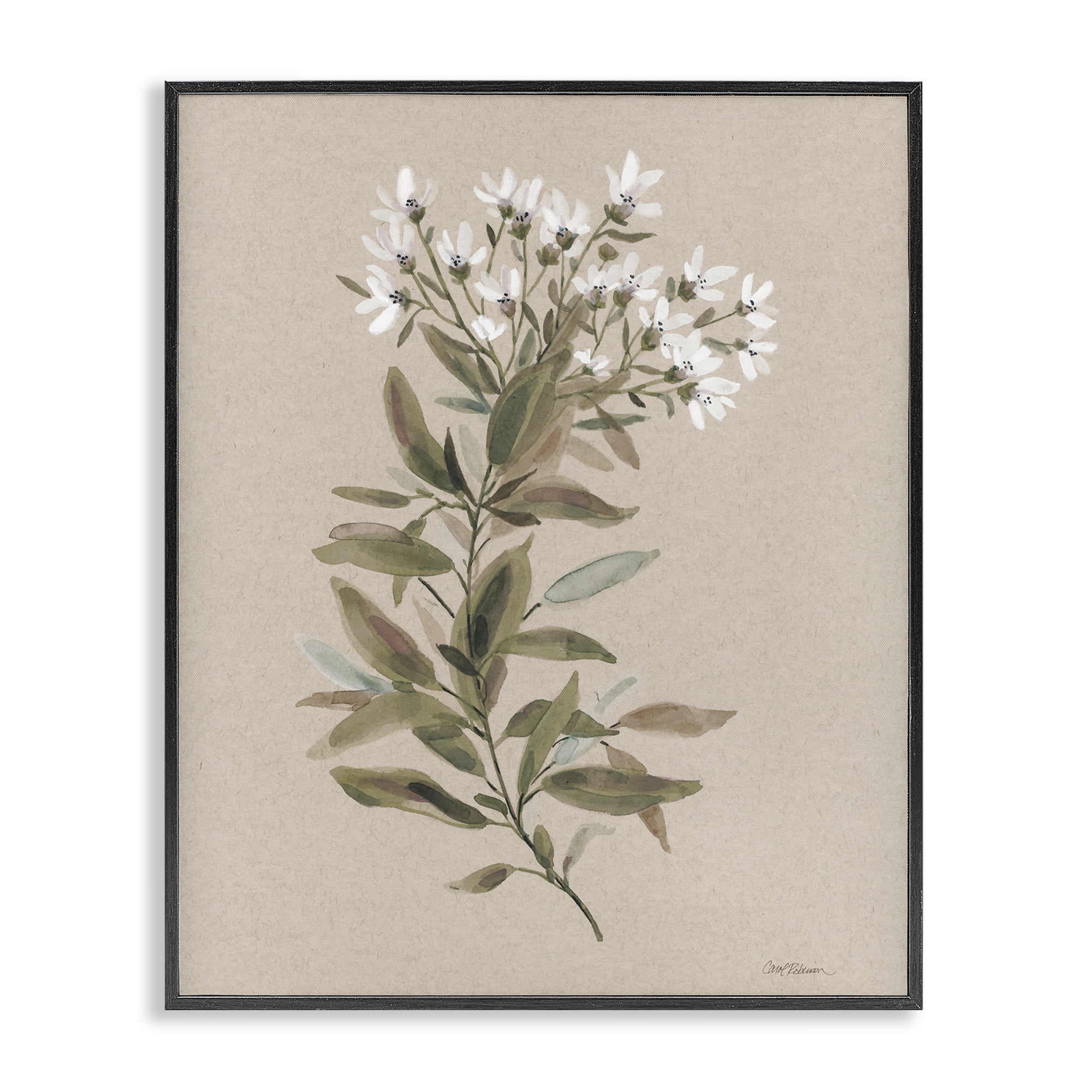 Stupell Industries Watercolor Wildflower Sprig Botanical & Floral Painting Black Framed Art Print Wall Art, 16 x 20