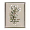 thumbnail image 1 of Stupell Industries Watercolor Wildflower Sprig Botanical & Floral Painting Brown Floater Framed Art Print Wall Art, 17 x 21, 1 of 10