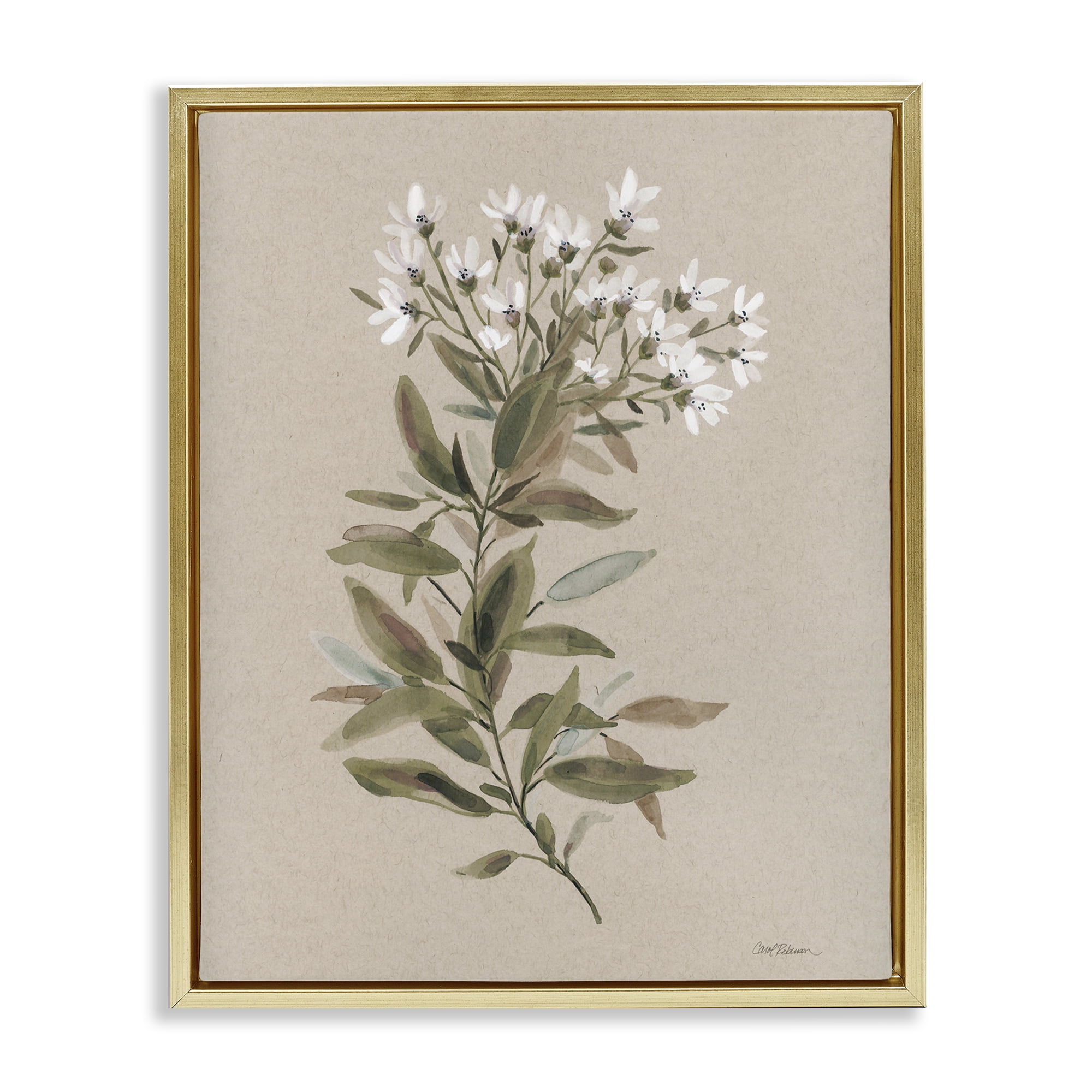 Stupell Industries Watercolor Wildflower Sprig Botanical & Floral Painting Gold Floater Framed Art Print Wall Art, 25 x 31
