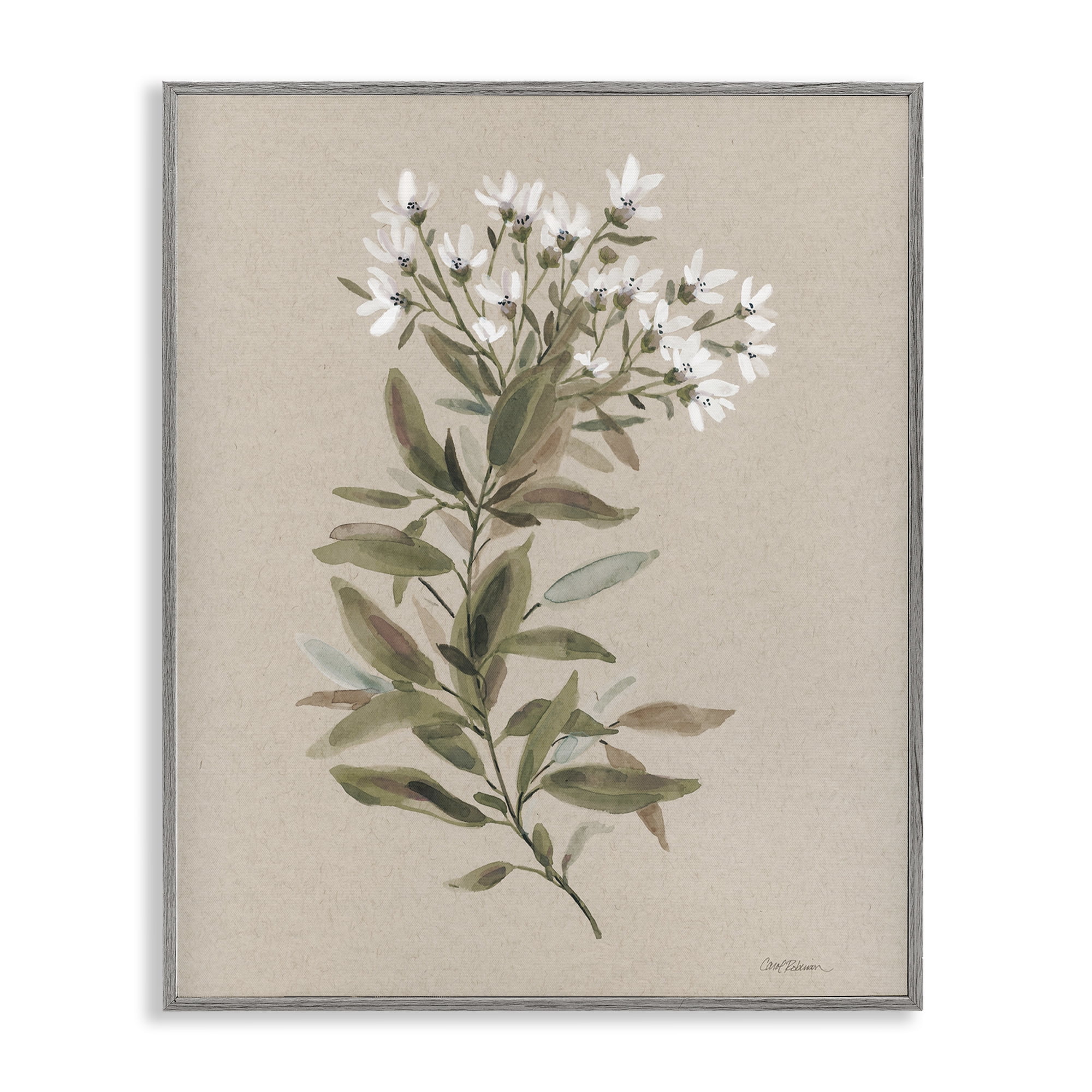 Stupell Industries Watercolor Wildflower Sprig Botanical & Floral Painting Gray Framed Art Print Wall Art, 16 x 20