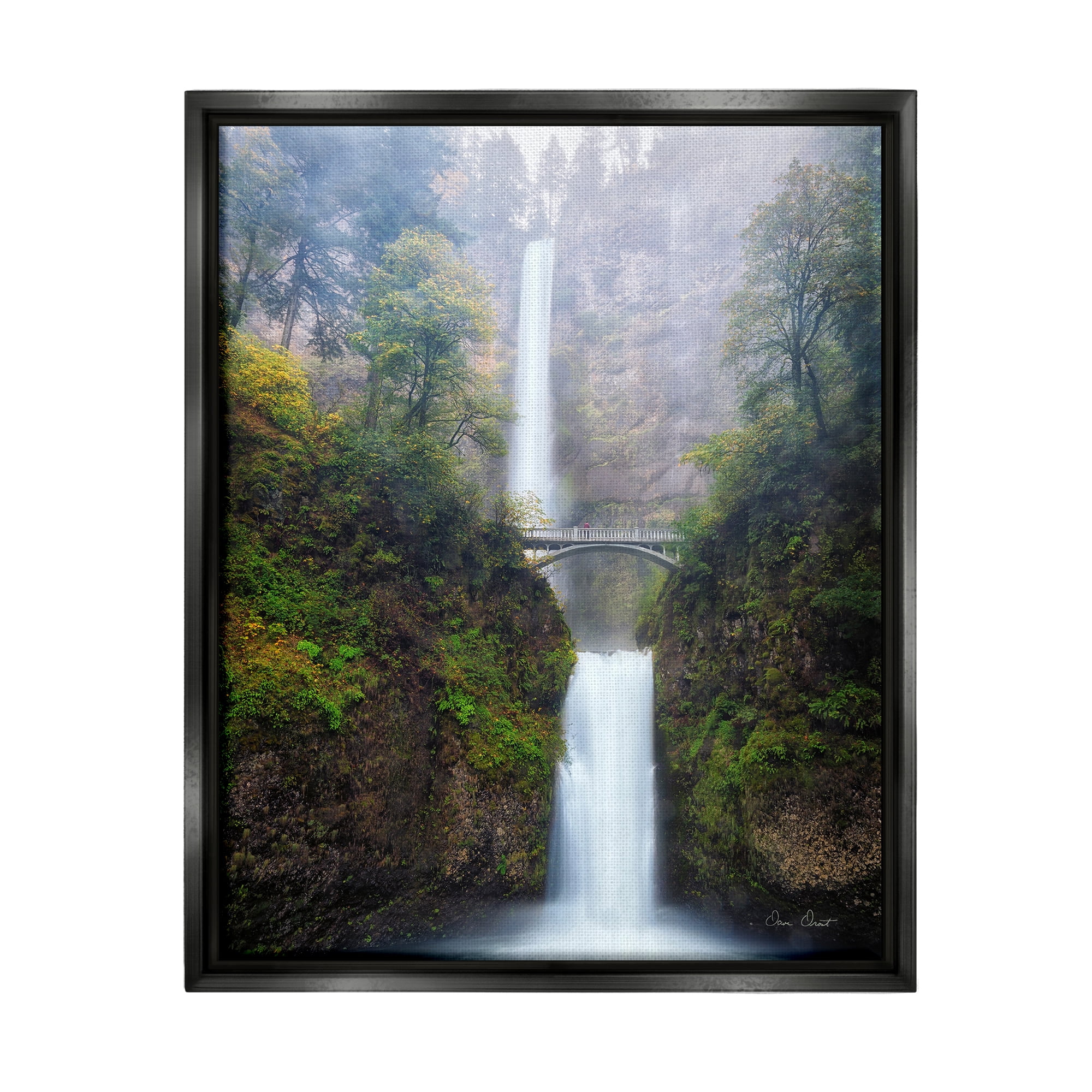 Stupell Industries Waterfall Bridge Photography Nature Photography Black Floater Framed Art Print Wall Art, 25 x 31