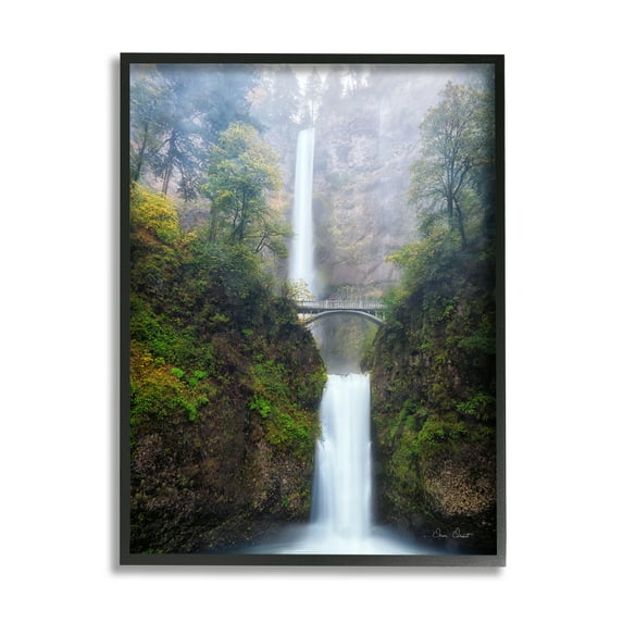 Stupell Industries Waterfall Bridge Photography Nature Photography Black Framed Art Print Wall Art, 16 x 20
