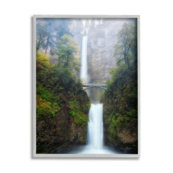 Stupell Industries Waterfall Bridge Photography Nature Photography Gray Framed Art Print Wall Art, 16 x 20