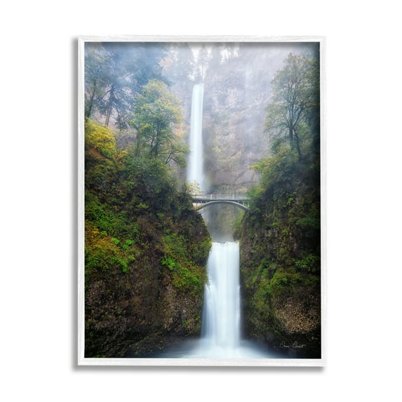 Stupell Industries Waterfall Bridge Photography Nature Photography White Framed Art Print Wall Art, 24 x 30
