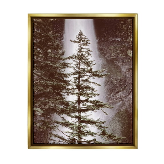 Stupell Industries Waterfall Nature Photography Nature Photography Gold Floater Framed Art Print Wall Art, 25 x 31