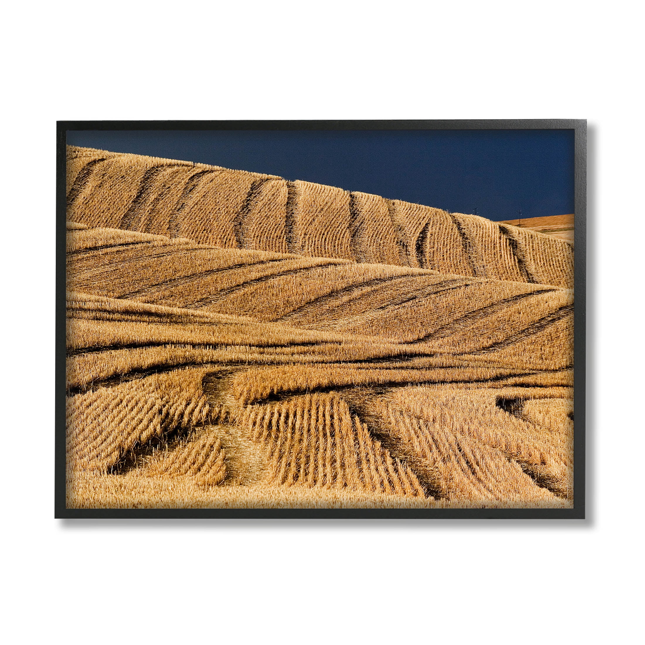Stupell Industries Wavy Cornfield Lines Vast Rural Field Photograph Black Framed Art Print Wall Art, Design by David Lorenz