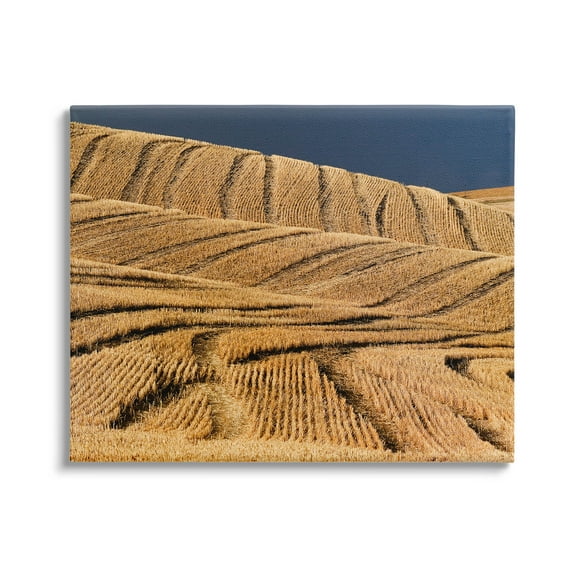 Stupell Industries Wavy Cornfield Lines Vast Rural Field Photograph Gallery Wrapped Canvas Print Wall Art, Design by David Lorenz