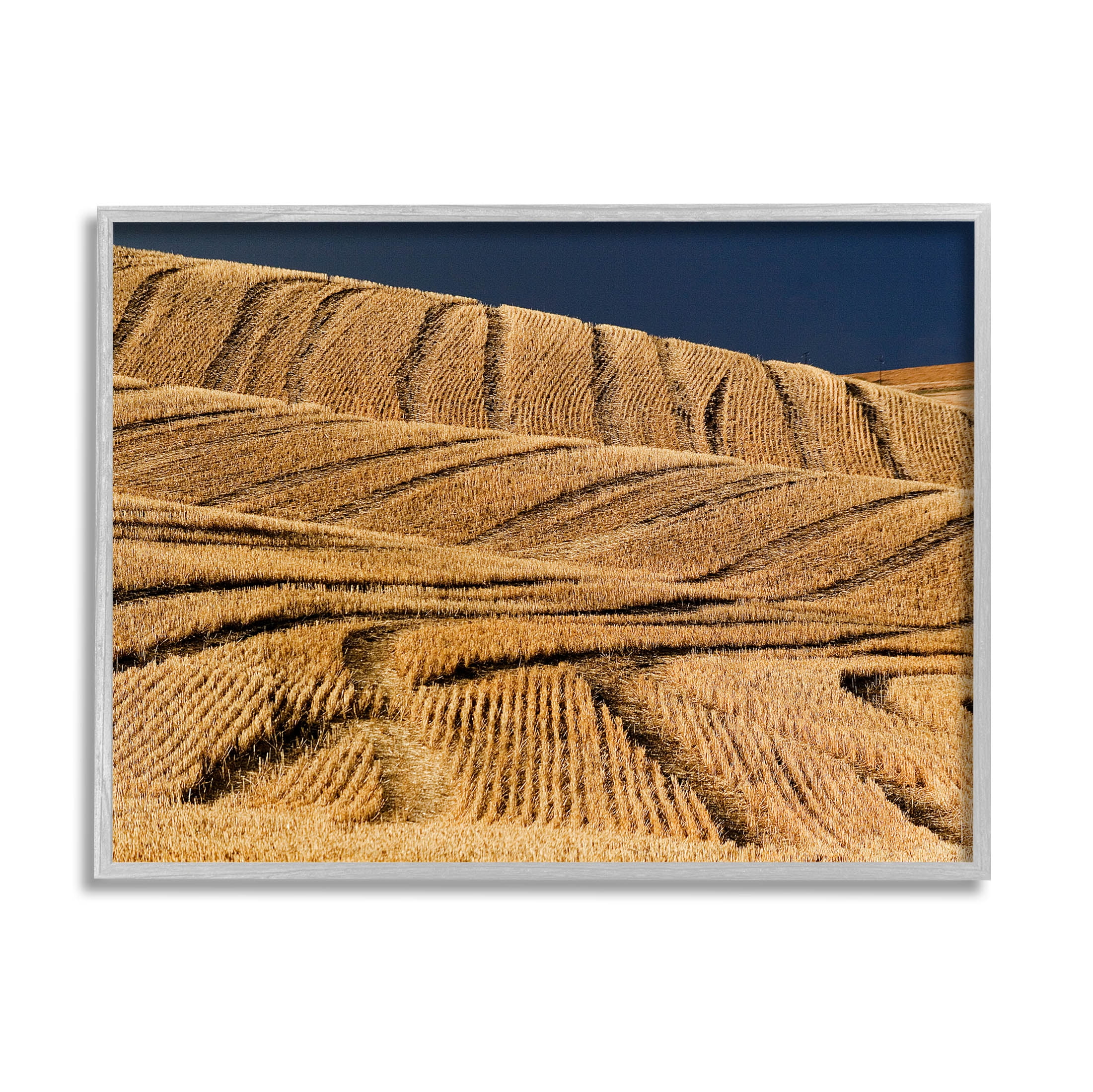 Stupell Industries Wavy Cornfield Lines Vast Rural Field Photograph Gray Framed Art Print Wall Art, Design by David Lorenz