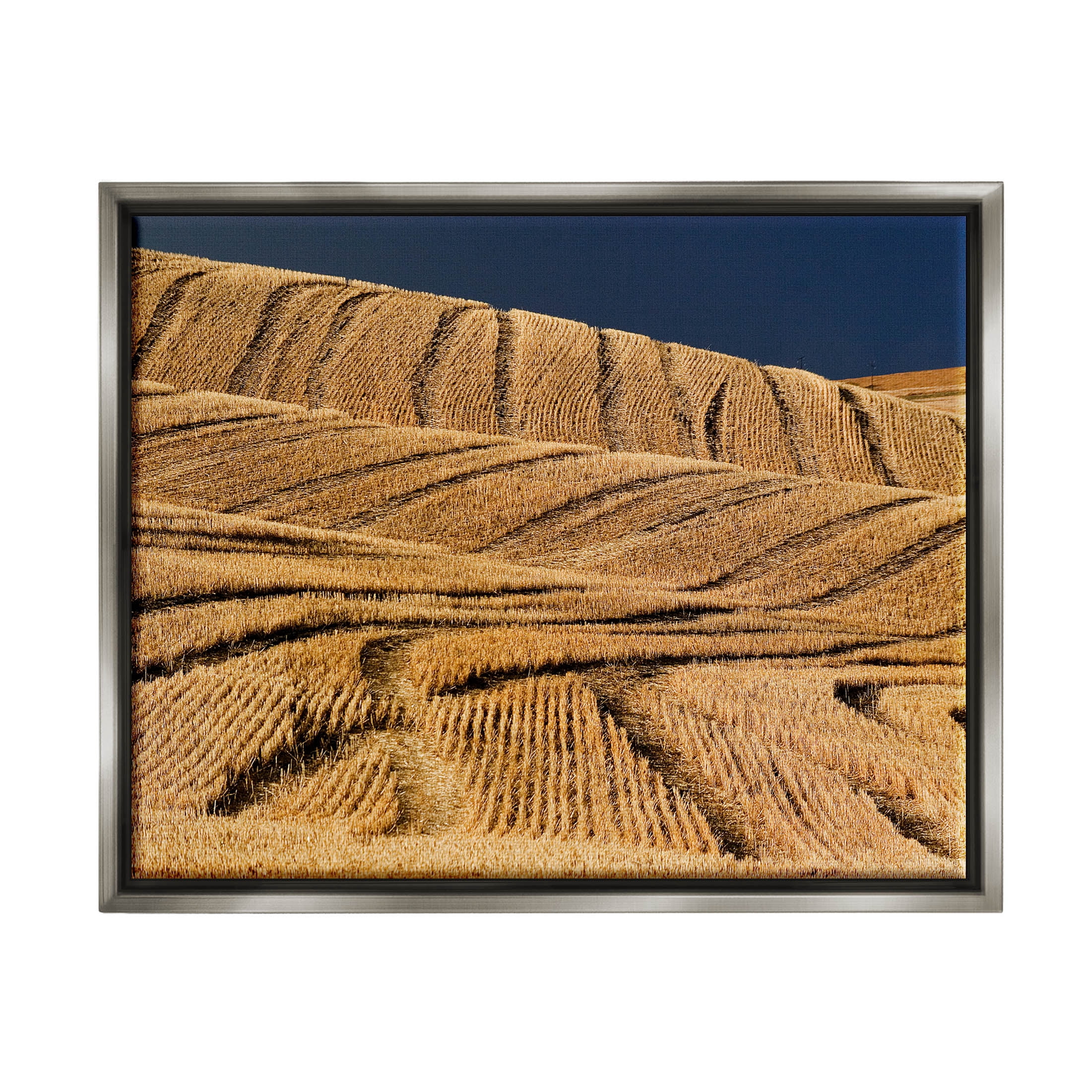 Stupell Industries Wavy Cornfield Lines Vast Rural Field Photograph Luster Gray Floating Framed Canvas Print Wall Art, Design by David Lorenz