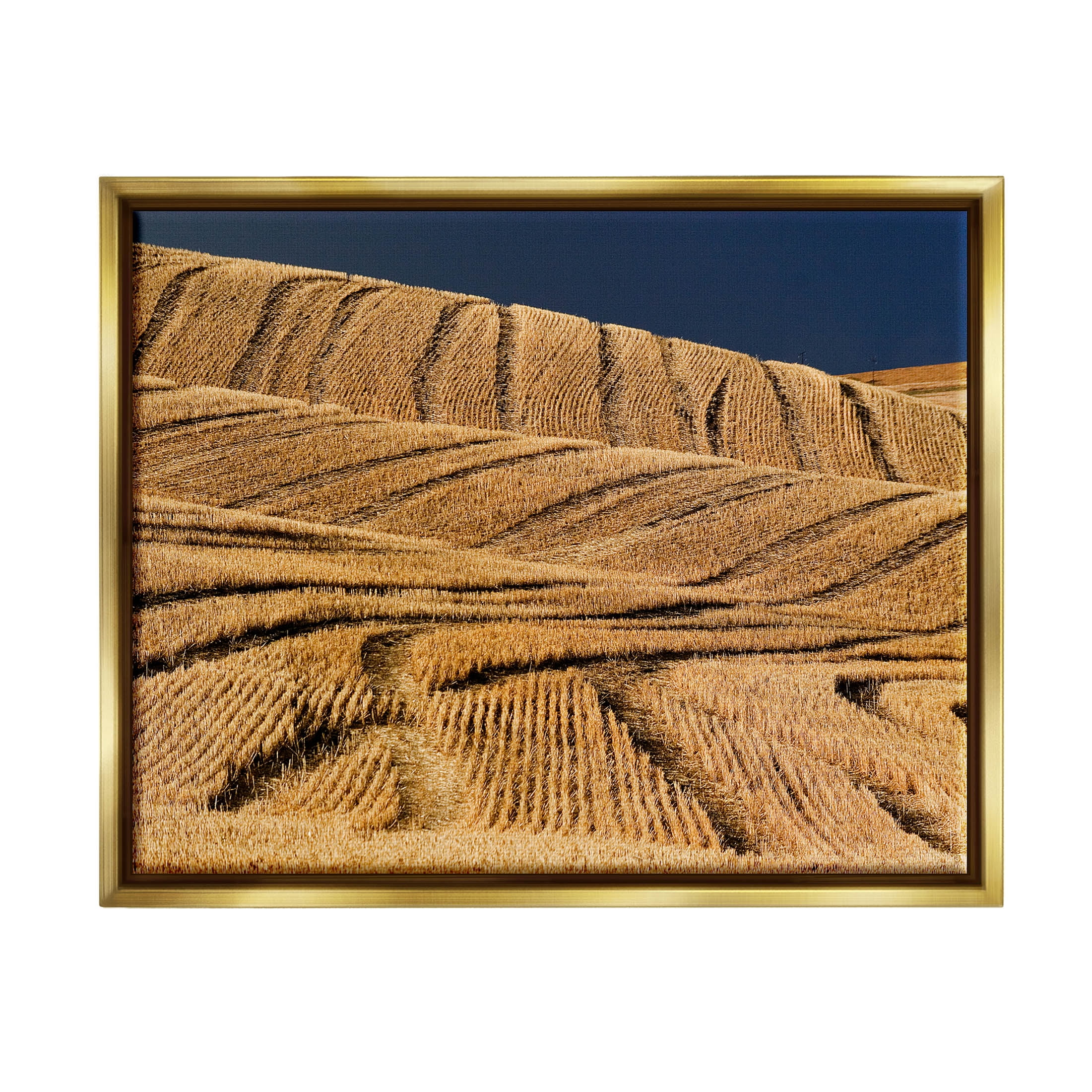 Stupell Industries Wavy Cornfield Lines Vast Rural Field Photograph Metallic Gold Floating Framed Canvas Print Wall Art, Design by David Lorenz