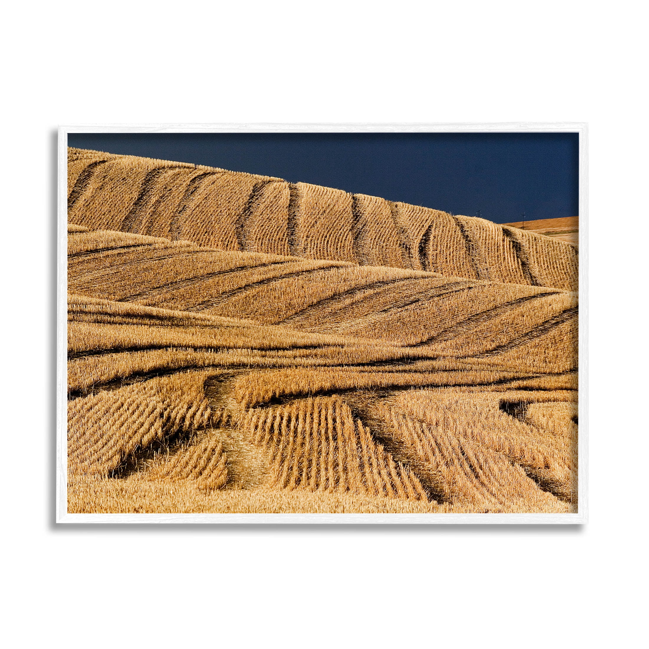Stupell Industries Wavy Cornfield Lines Vast Rural Field Photograph White Framed Art Print Wall Art, Design by David Lorenz