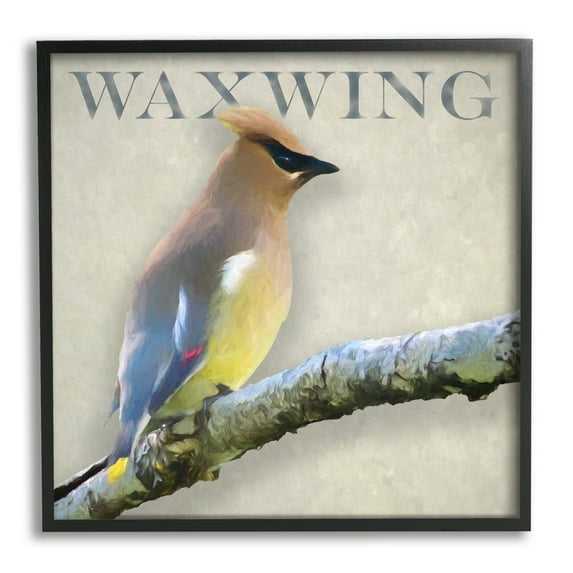 Stupell Industries Waxwing Bird Perched Wildlife Breed Typography Graphic Art Black Framed Art Print Wall Art, Design by Alpenglow Workshop