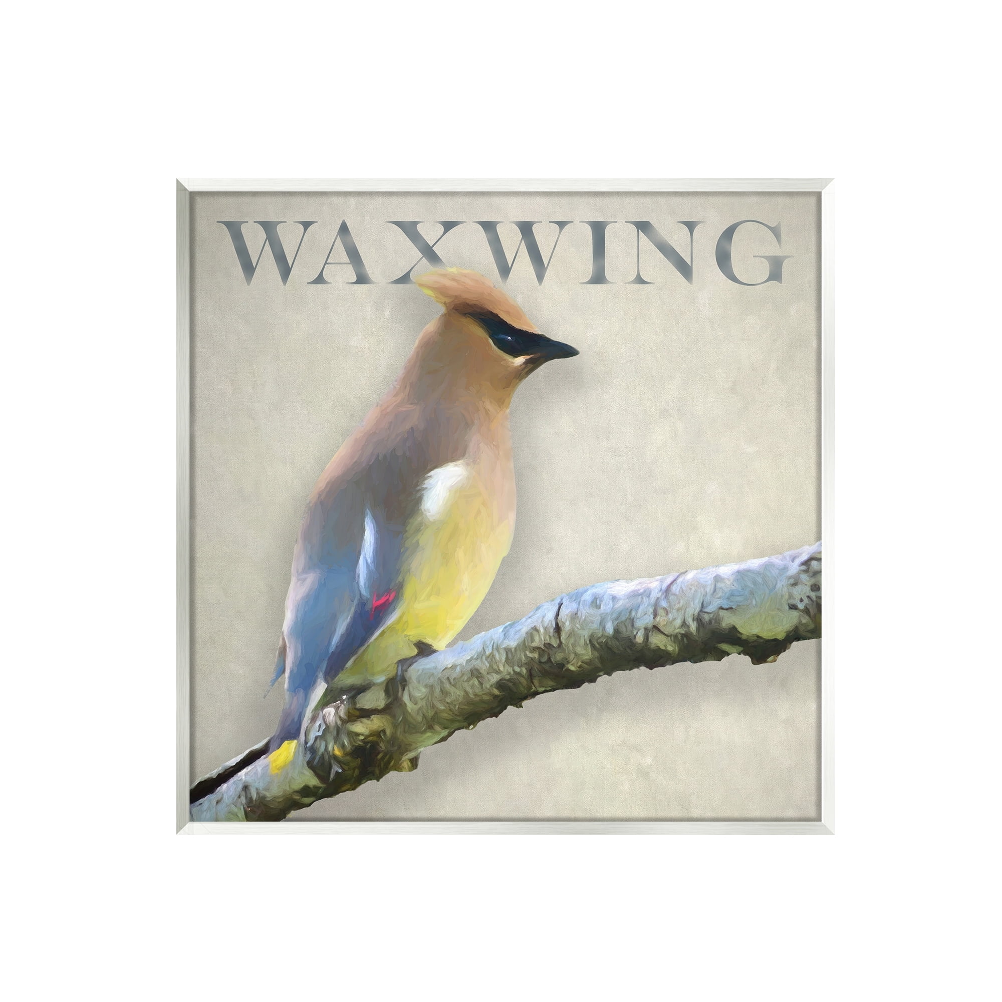 Stupell Industries Waxwing Bird Perched Wildlife Breed Typography Graphic Art Unframed Art Print Wall Art, Design by Alpenglow Workshop