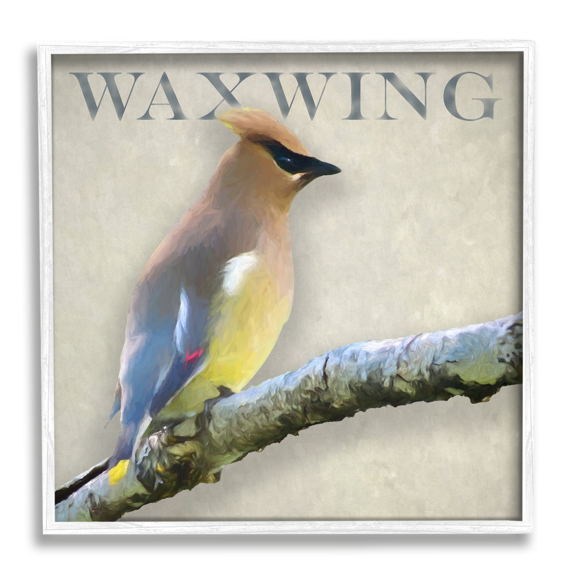 Stupell Industries Waxwing Bird Perched Wildlife Breed Typography Graphic Art White Framed Art Print Wall Art, Design by Alpenglow Workshop