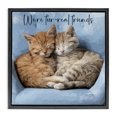 thumbnail image 1 of Stupell Industries Cottage We're Fur-Real Friends Black Floating Frame Canvas Art, 18 x 18, by Kim Curinga, 1 of 8