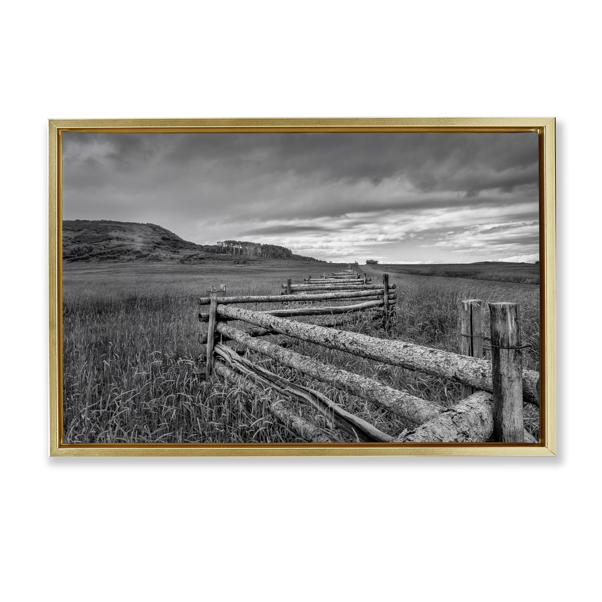 Stupell Industries Weathered Fence to Distant Horizon Gold Framed Floater Canvas Wall Art, design by Jon Evan
