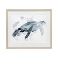 thumbnail image 1 of Stupell Industries Weathered Sea Turtle Birch Framed Print Under Glass design by Marcus Prime, 13 x 16, 1 of 10