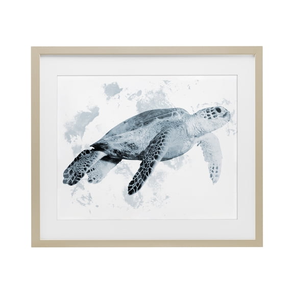 Stupell Industries Weathered Sea Turtle Birch Framed Print Under Glass design by Marcus Prime, 17 x 21