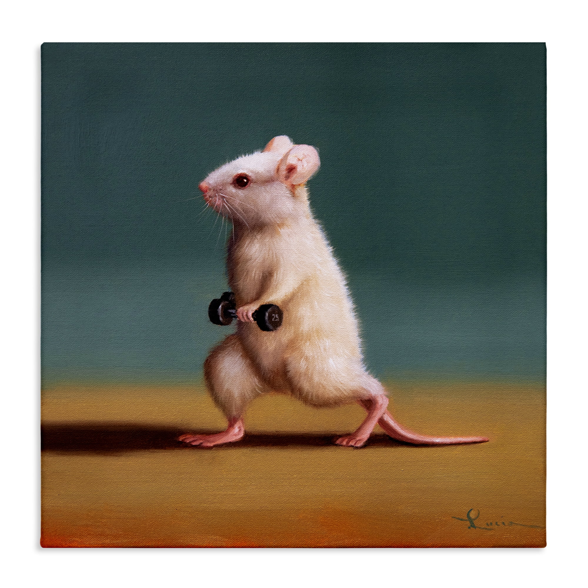 Stupell Industries Weight Exercising Mouse Animals Painting Wrapped Canvas Art Print Wall Art, 36 x 36