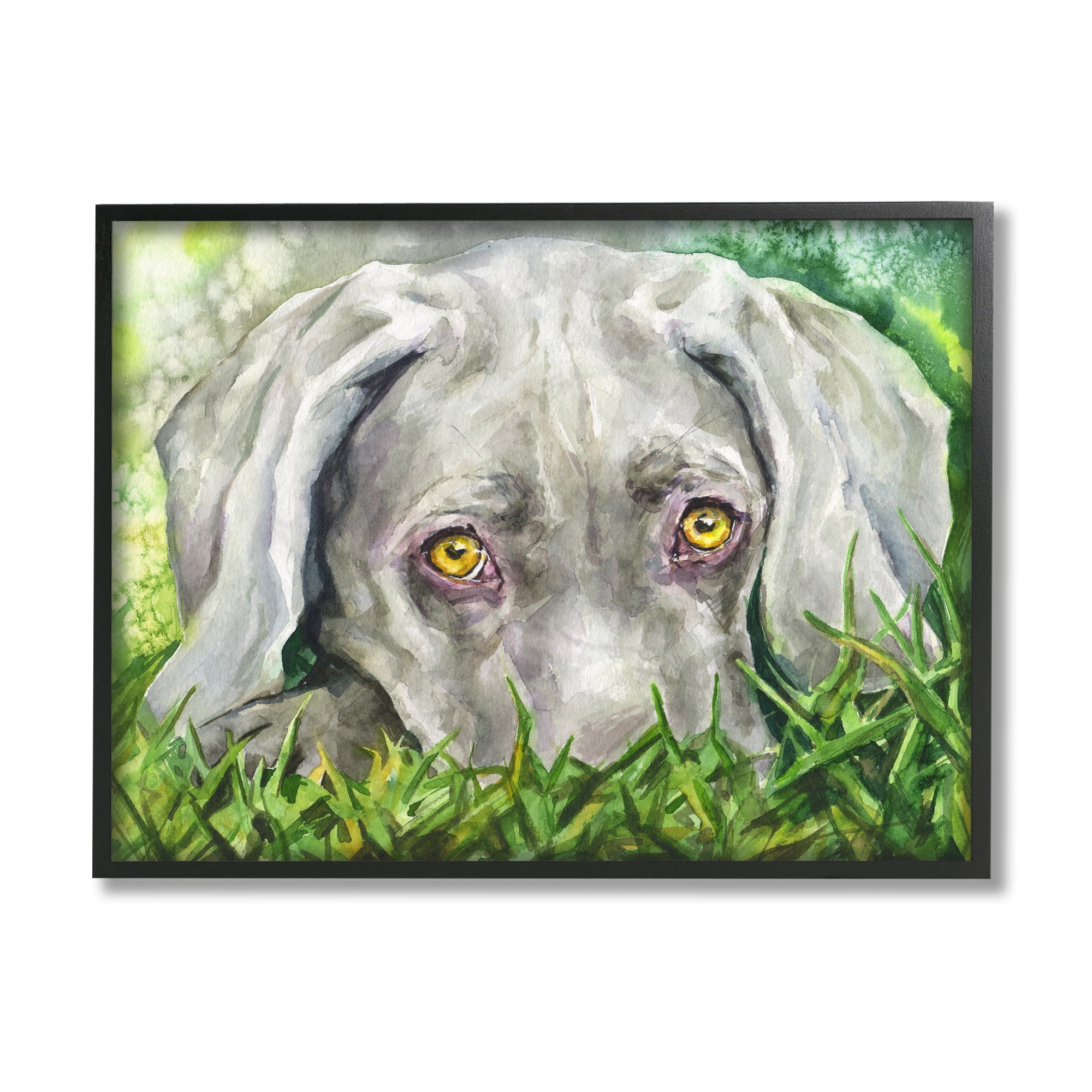 Stupell Industries Weimaraner Puppy Dog Resting In Green Grass Black Framed, 24 x 30, Design by George Dyachenko