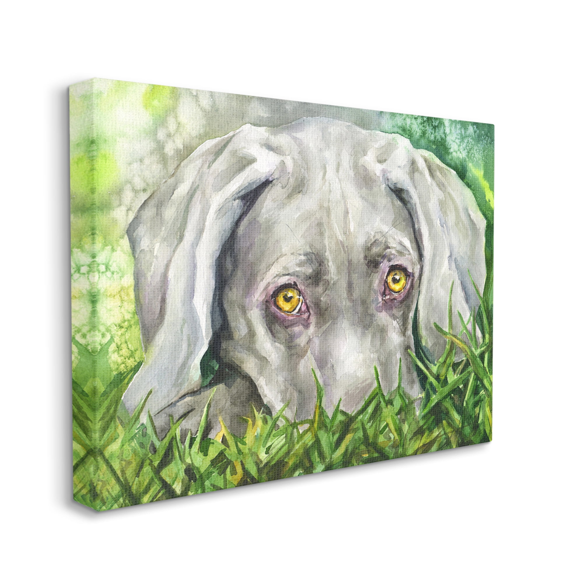 Stupell Industries Weimaraner Puppy Dog Resting In Green Grass Canvas Wall Art, 16 x 20, Design by George Dyachenko