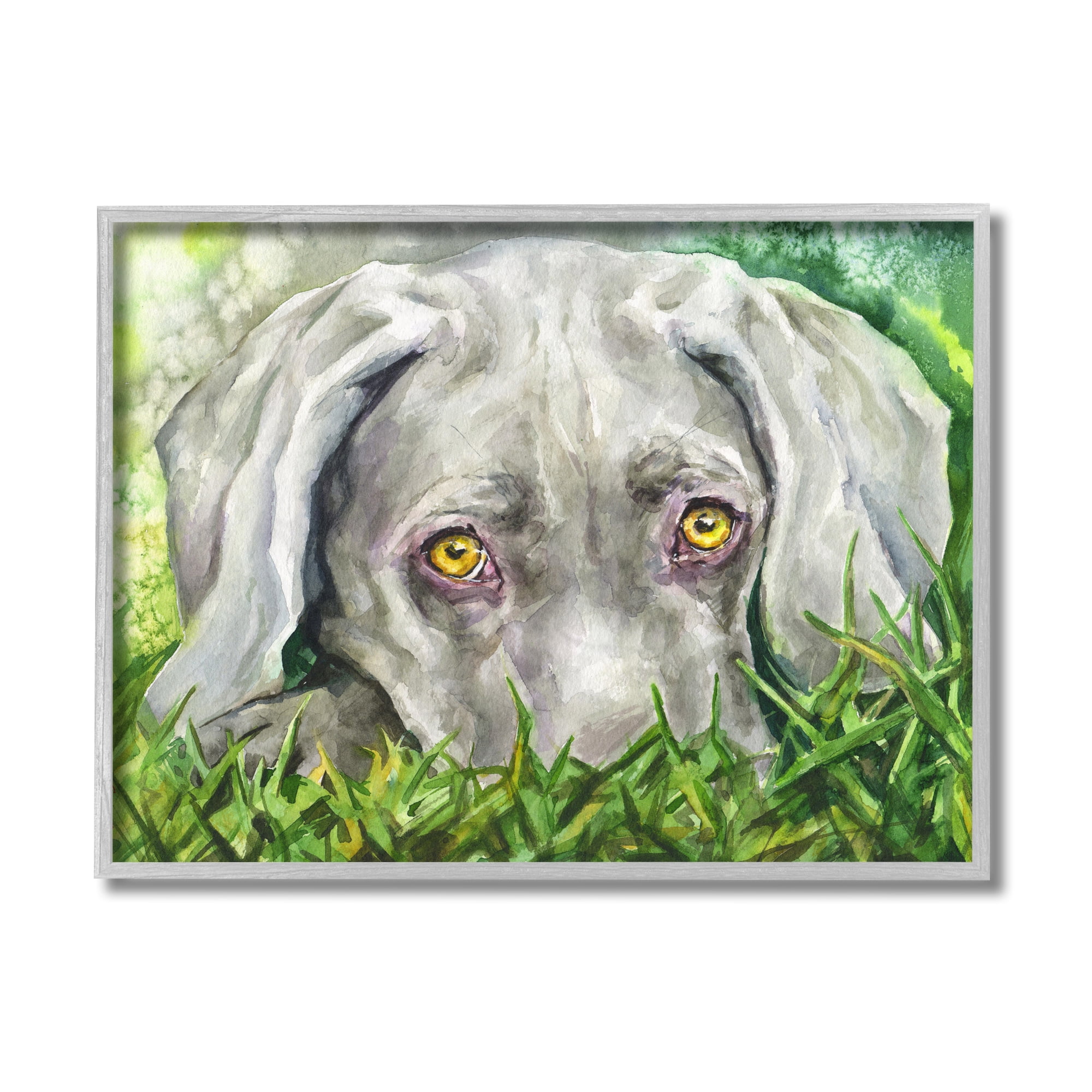 Stupell Industries Weimaraner Puppy Dog Resting In Green Grass Grey Framed, 11 x 14, Design by George Dyachenko