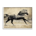 thumbnail image 1 of Stupell Industries Western Galloping Horse Portrait Graphic Art White Framed Art Print Wall Art, Design by Tina Blakely, 1 of 7