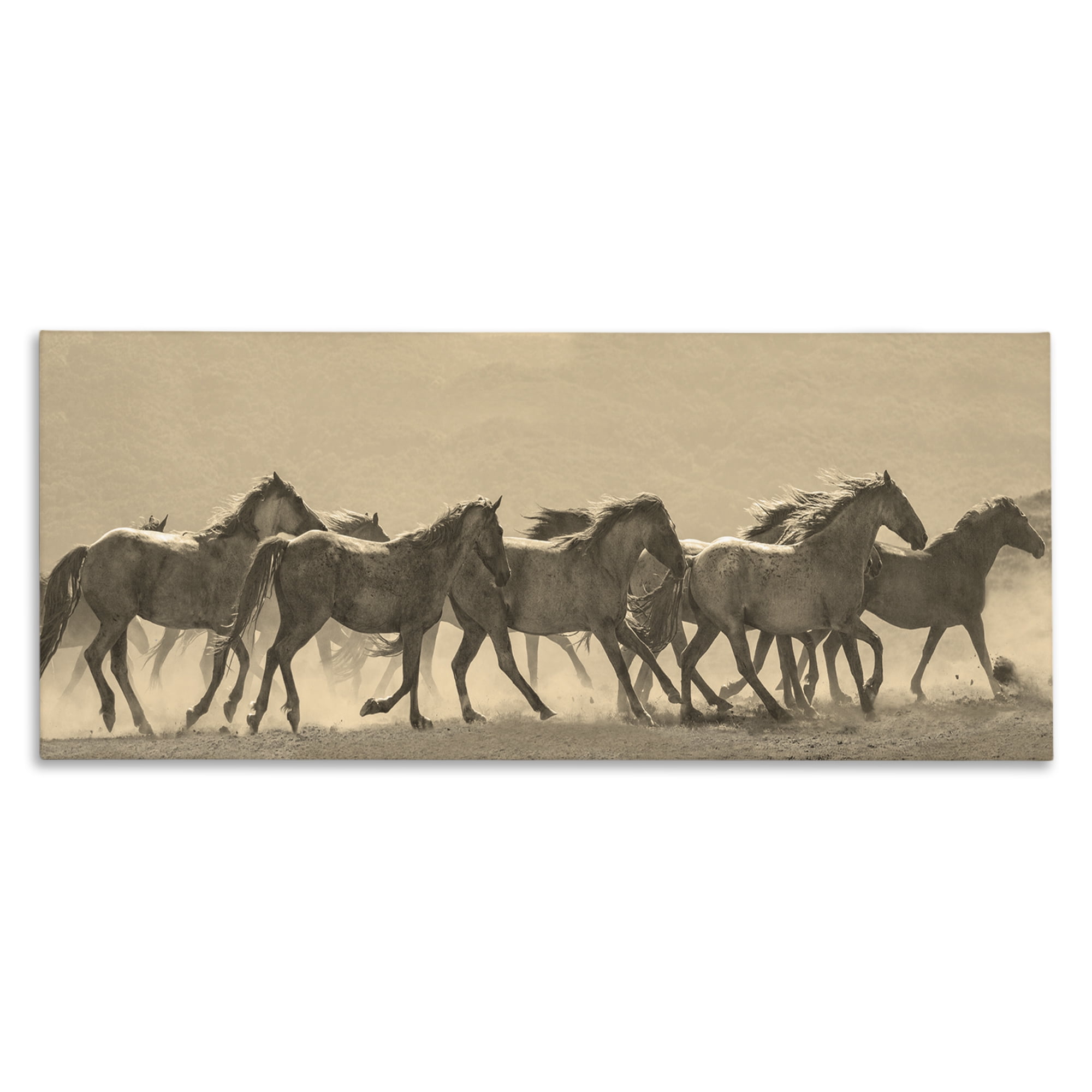 Stupell Industries Western Horses Gallop Animals Photography Wrapped Canvas Art Print Wall Art, 40 x 17