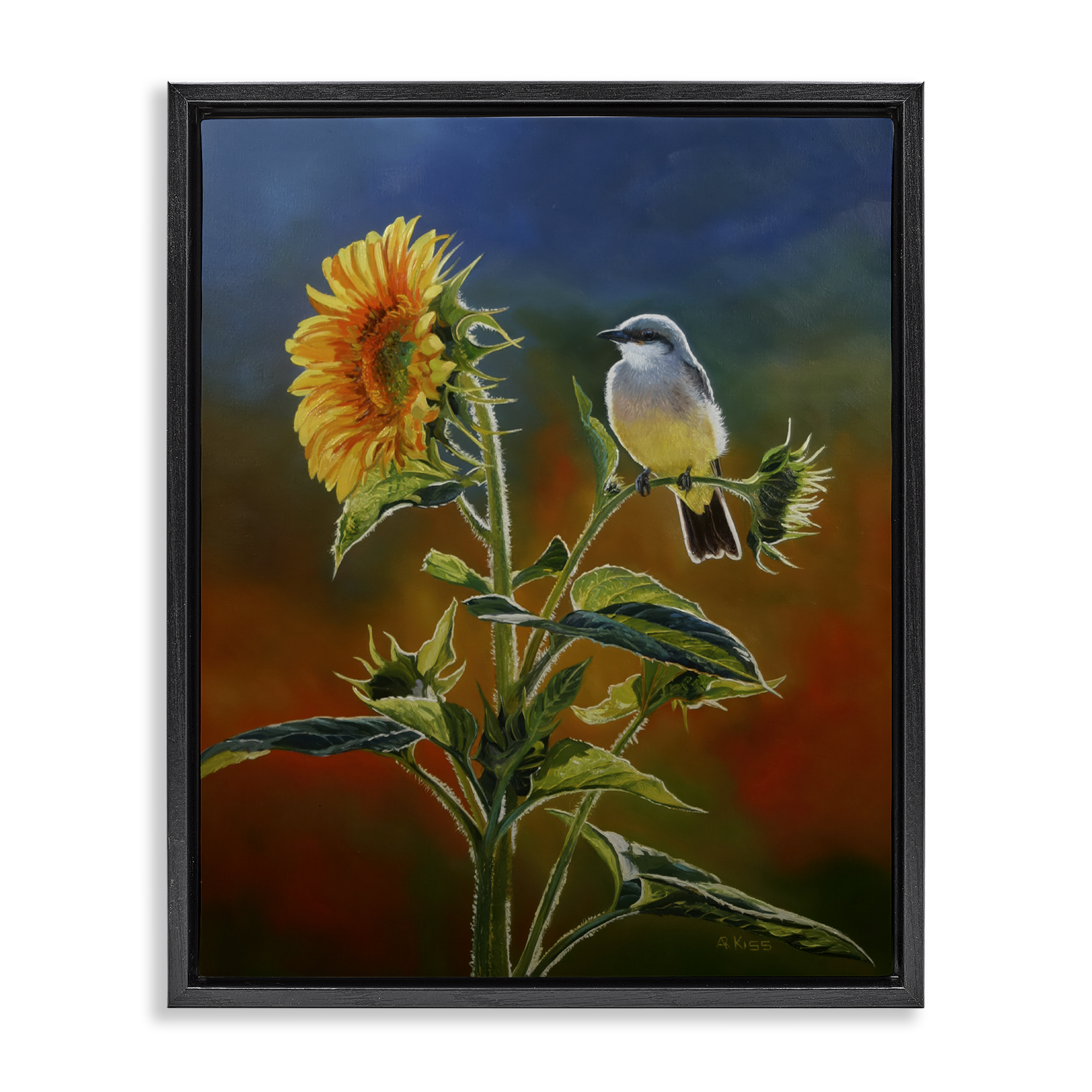 Stupell Industries Western Kingbird & Flower Plants & Flowers Painting Black Floater Framed Canvas Art Print Wall Art, 25 x 31
