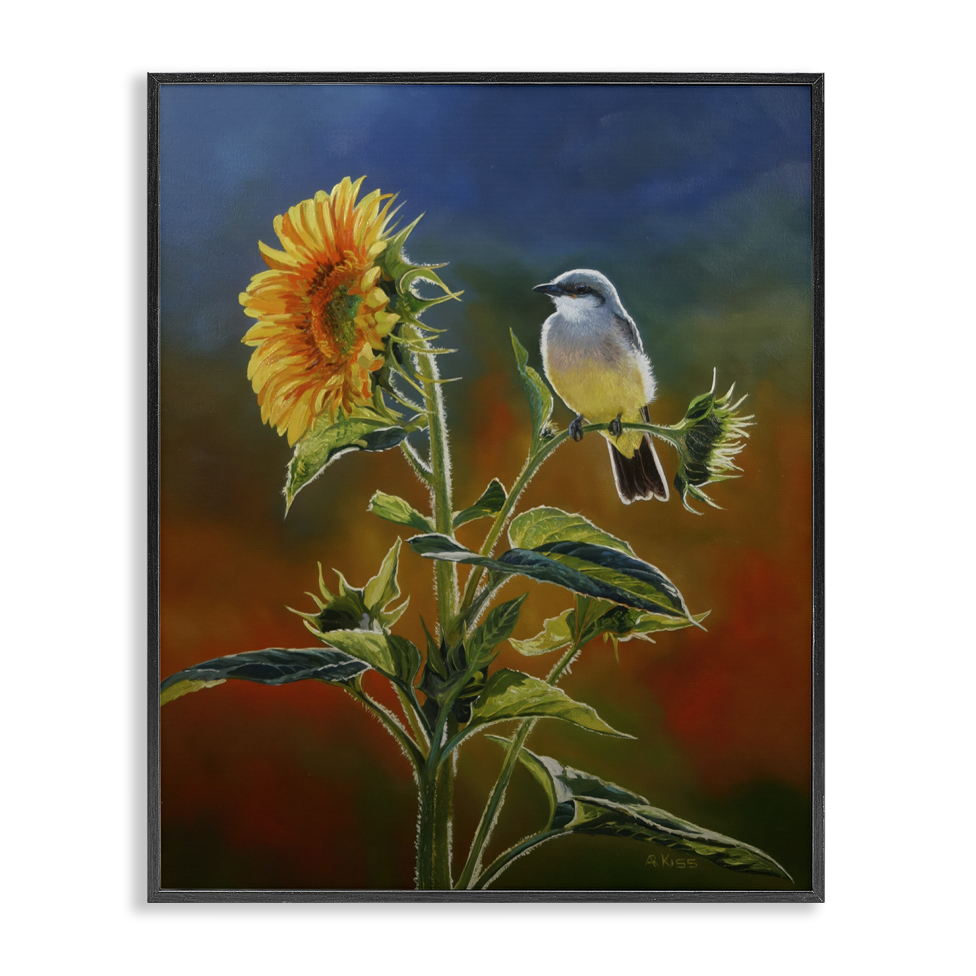 Stupell Industries Western Kingbird & Flower Plants & Flowers Painting Black Framed Art Print Wall Art, 16 x 20