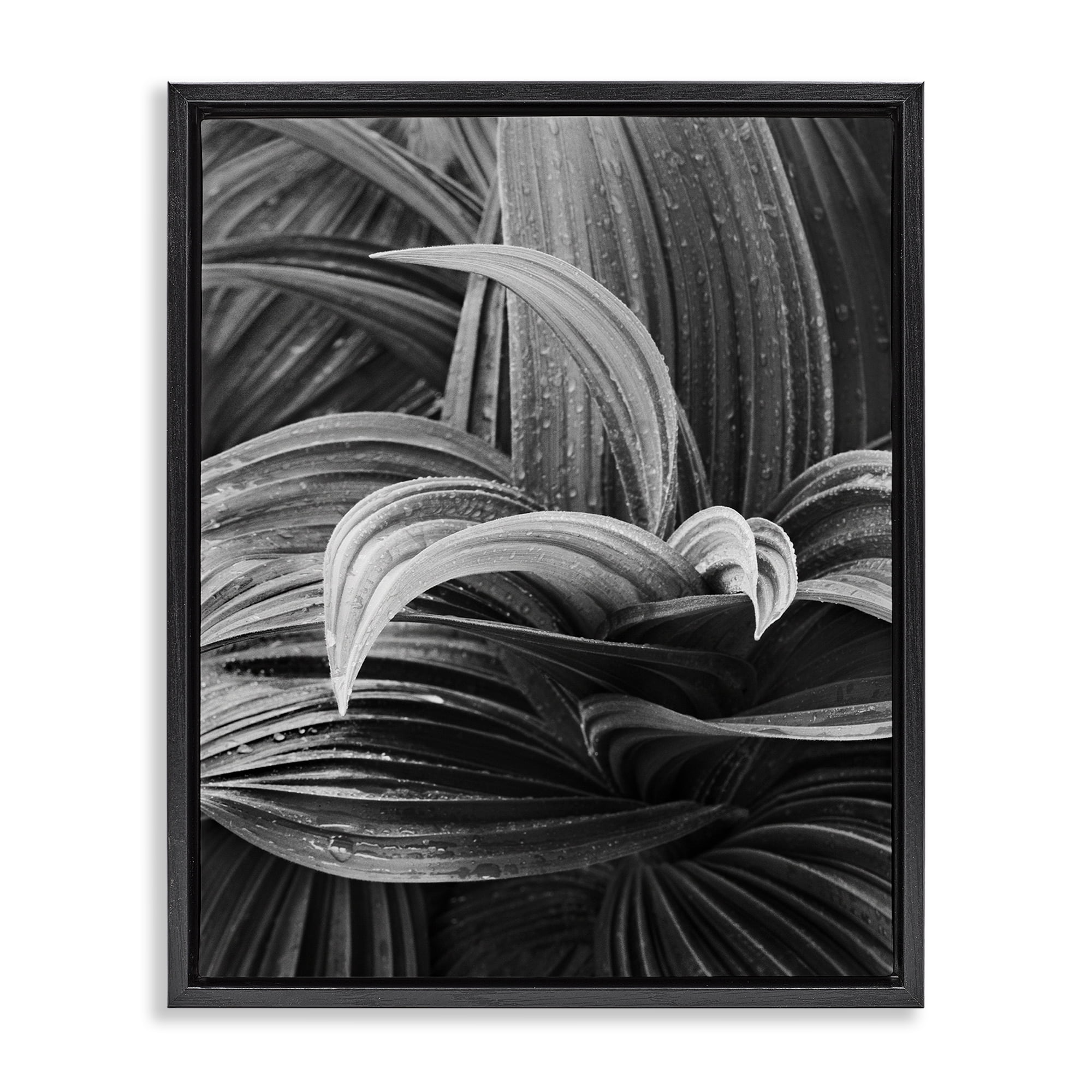 Stupell Industries Wet Leaves Detail Botanical & Floral Photography Black Floater Framed Art Print Wall Art, 17 x 21