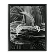Stupell Industries Wet Leaves Detail Botanical & Floral Photography Black Floater Framed Art Print Wall Art, 17 x 21