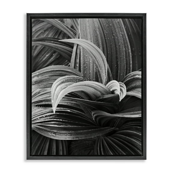 Stupell Industries Wet Leaves Detail Botanical & Floral Photography Black Floater Framed Art Print Wall Art, 17 x 21