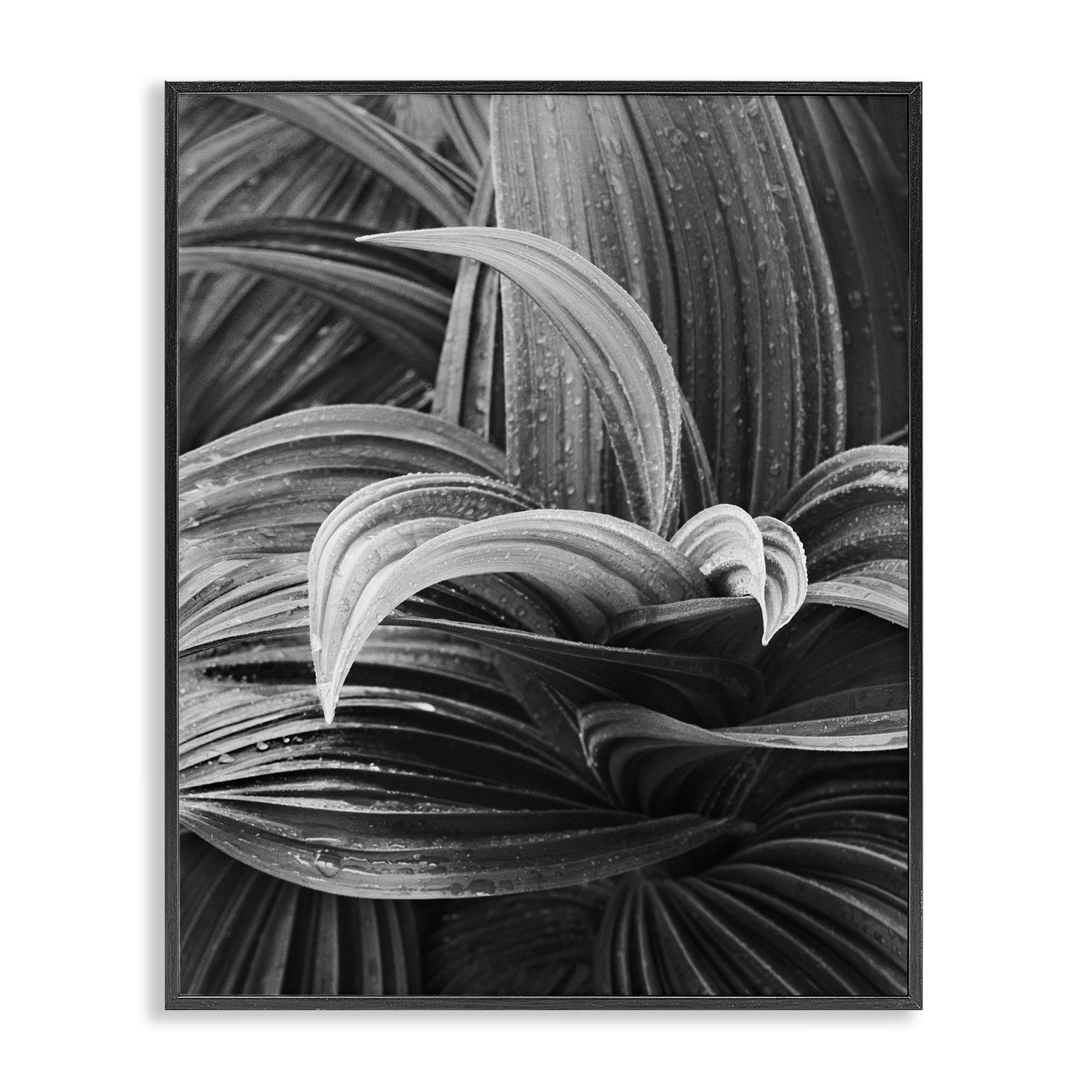 Stupell Industries Wet Leaves Detail Botanical & Floral Photography Black Framed Art Print Wall Art, 16 x 20