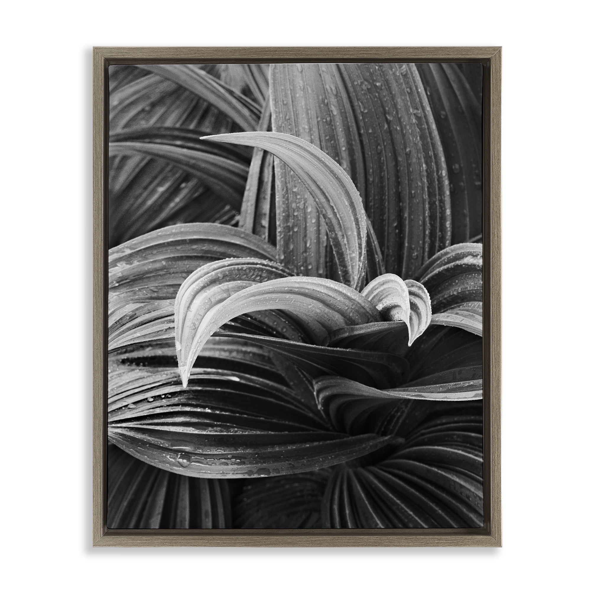 Stupell Industries Wet Leaves Detail Botanical & Floral Photography Brown Floater Framed Art Print Wall Art, 25 x 31
