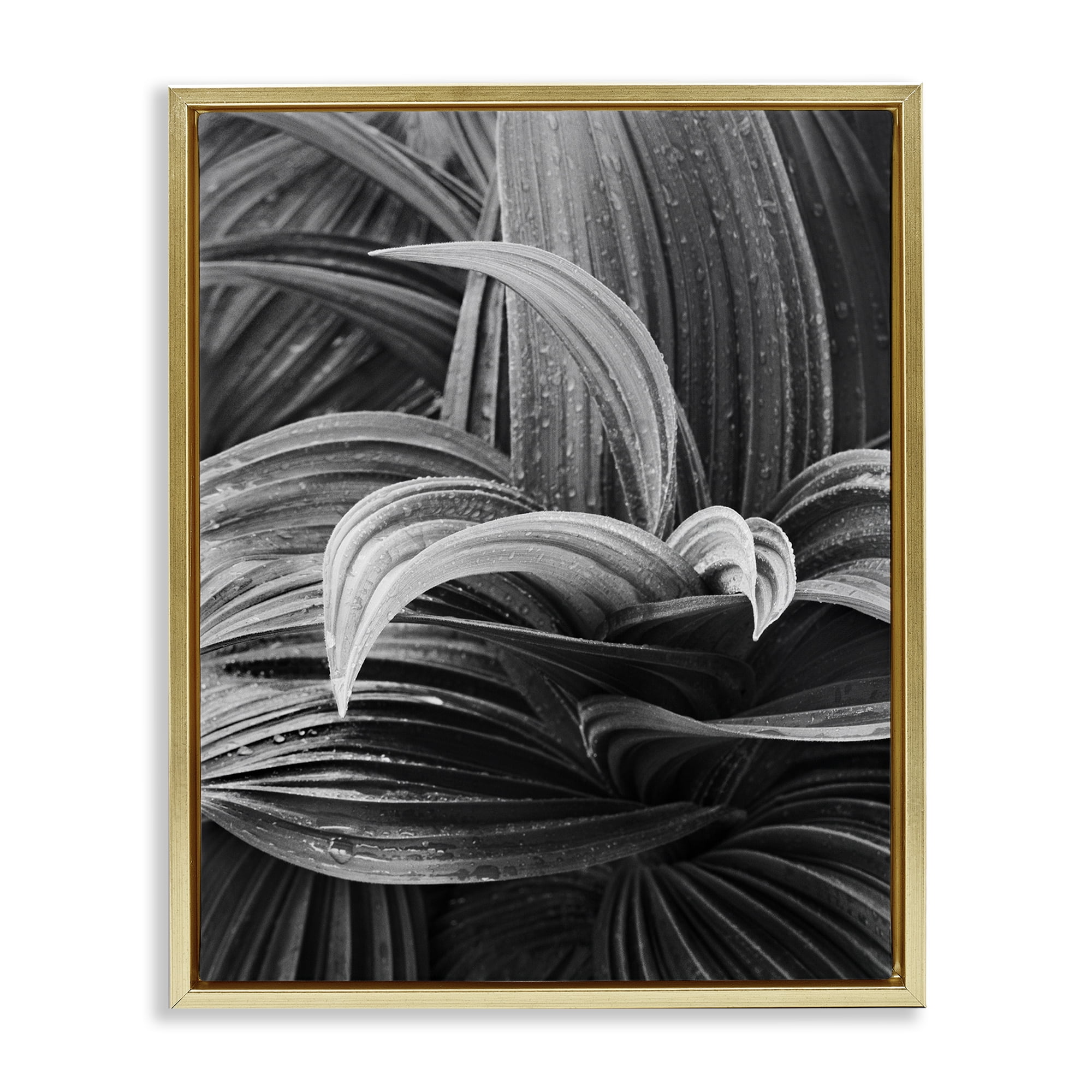 Stupell Industries Wet Leaves Detail Botanical & Floral Photography Gold Floater Framed Art Print Wall Art, 25 x 31