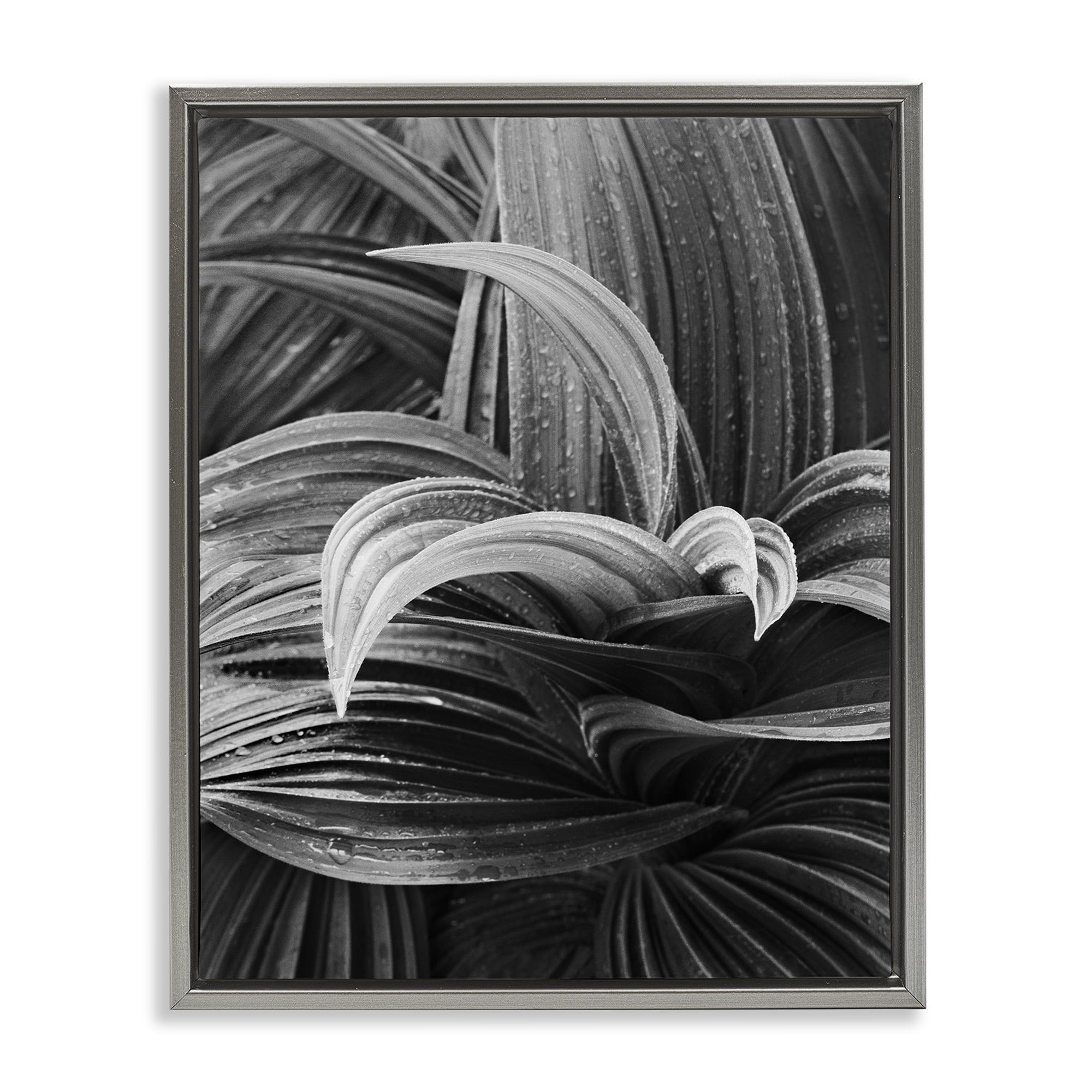 Stupell Industries Wet Leaves Detail Botanical & Floral Photography Gray Floater Framed Art Print Wall Art, 17 x 21
