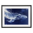 thumbnail image 1 of Stupell Industries Modern Whale in Motion Black Framed Print Under Glass, 20 x 14, by Chromatic Storm Studio, 1 of 8