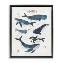 Stupell Industries Whales of the World Animals & Insects Painting Black Floater Framed Art Print Wall Art, 17 x 21