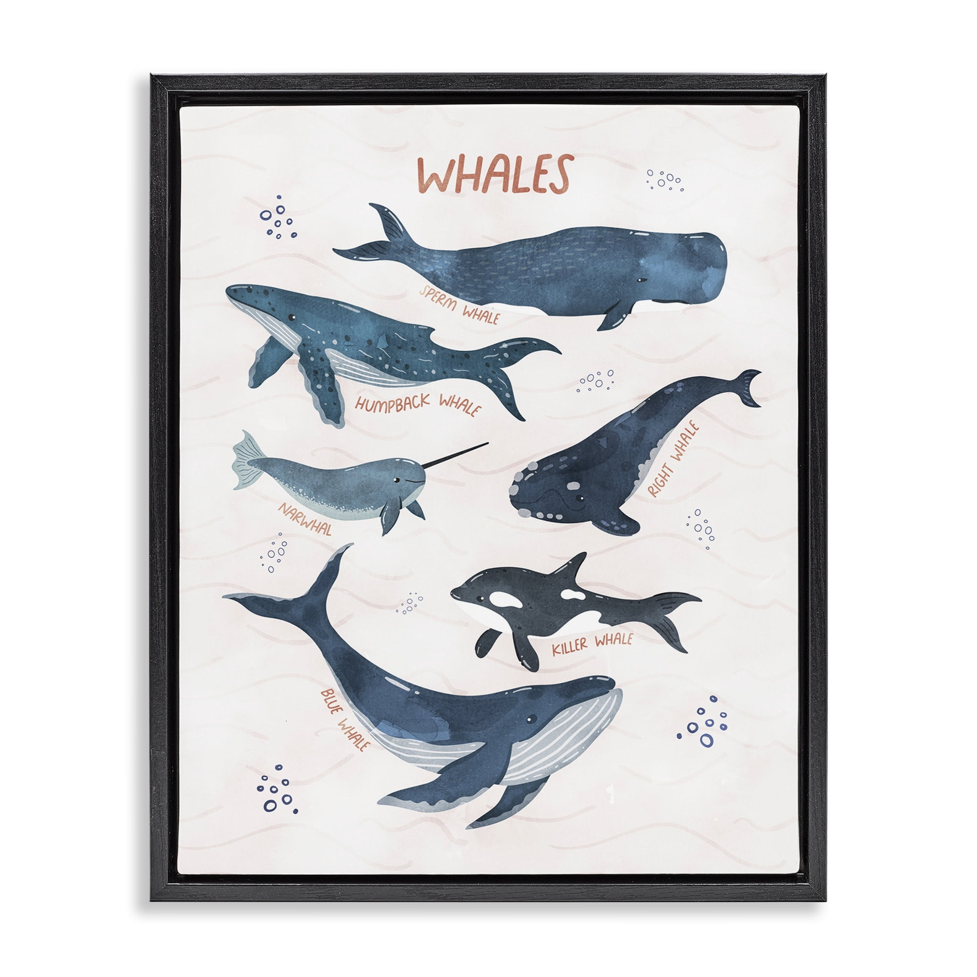 Stupell Industries Whales of the World Animals & Insects Painting Black Floater Framed Art Print Wall Art, 25 x 31