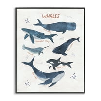 Stupell Industries Whales of the World Animals & Insects Painting Black Framed Art Print Wall Art, 11 x 14