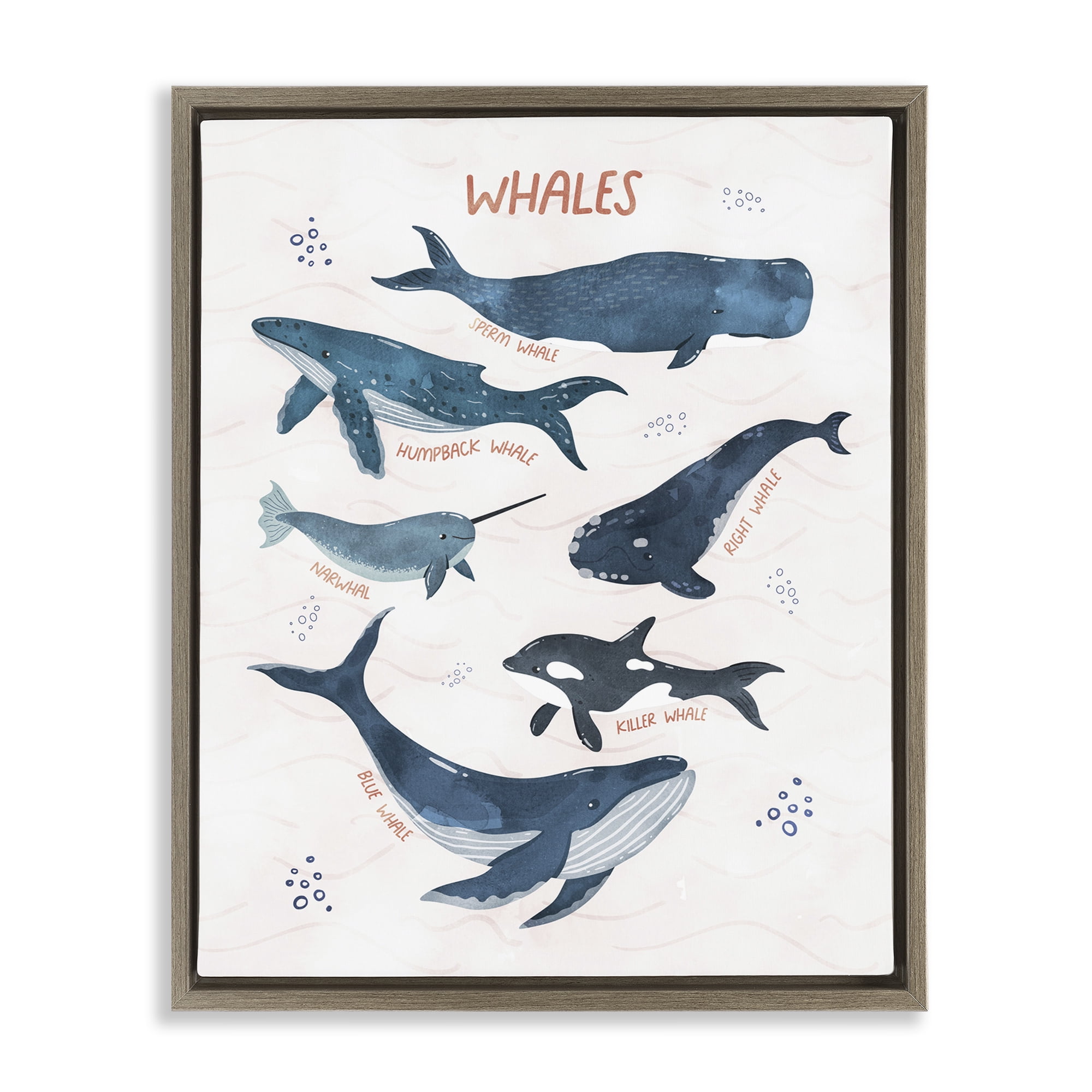 Stupell Industries Whales of the World Animals & Insects Painting Brown Floater Framed Art Print Wall Art, 17 x 21