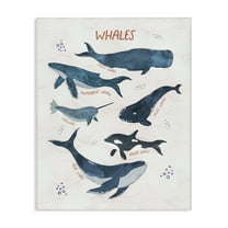 Stupell Industries Whales of the World Animals & Insects Painting Gallery Wrapped Canvas Art Print Wall Art, 16 x 20