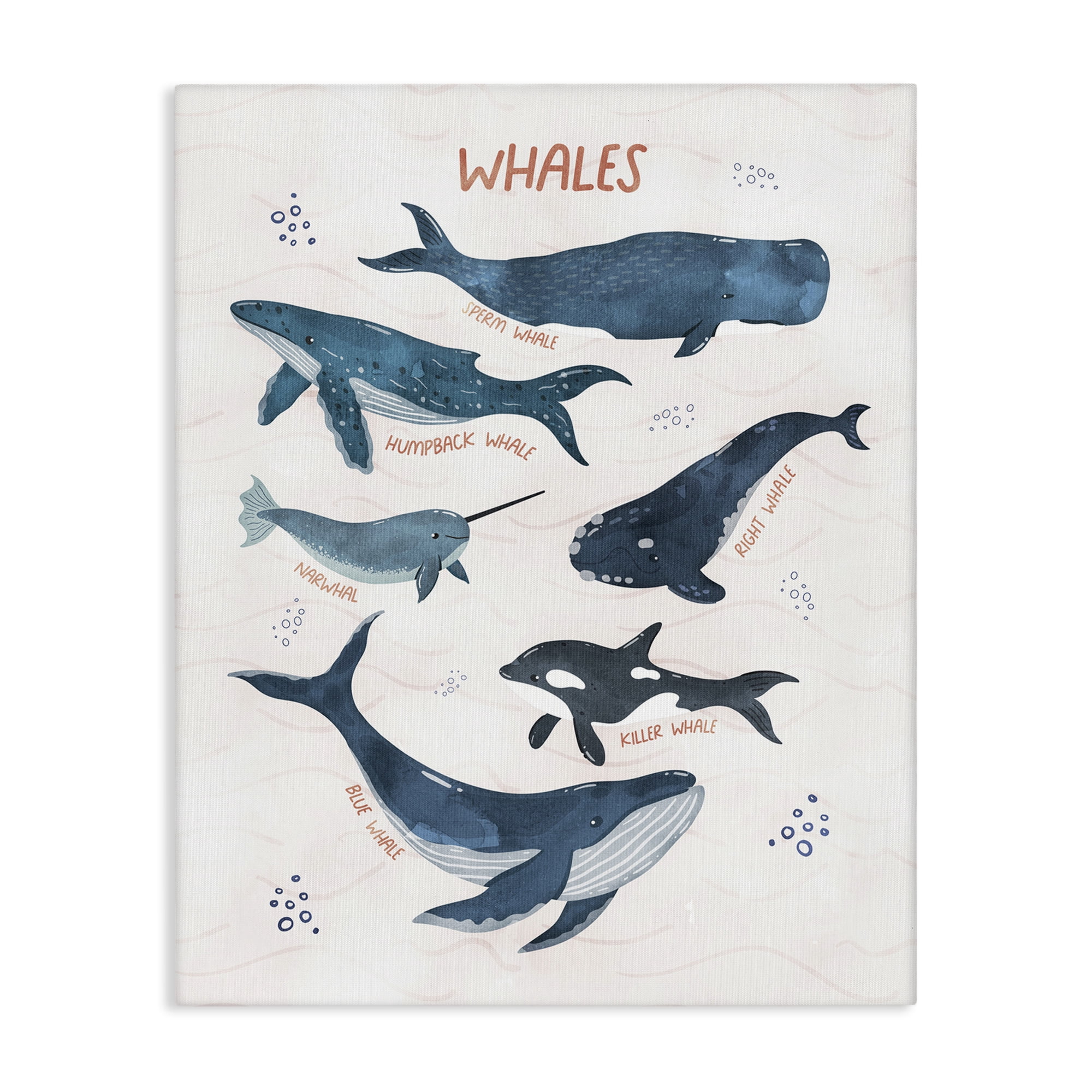 Stupell Industries Whales of the World Animals & Insects Painting Gallery Wrapped Canvas Art Print Wall Art, 24 x 30